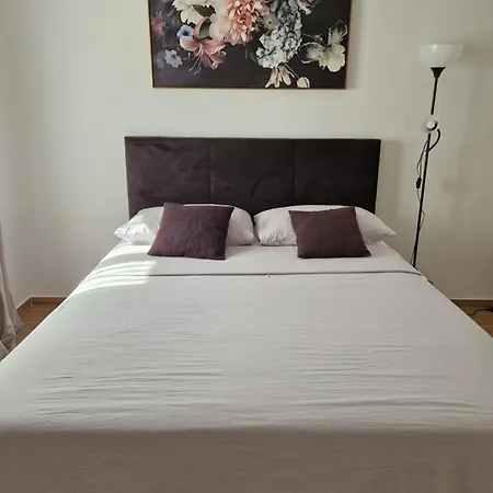 Apartment Jakne